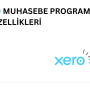 Xero muhasebe programını temsil eden görsel